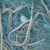 Fishing Net